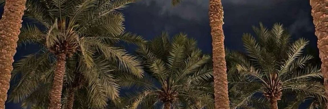 نوره | 🧮 🇸🇦 banner