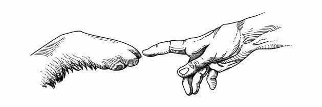 كلام من حد banner