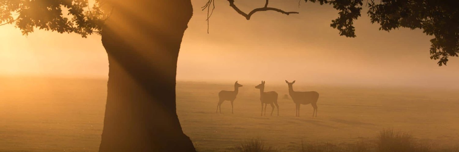 Lee_Bailham's profile banner image