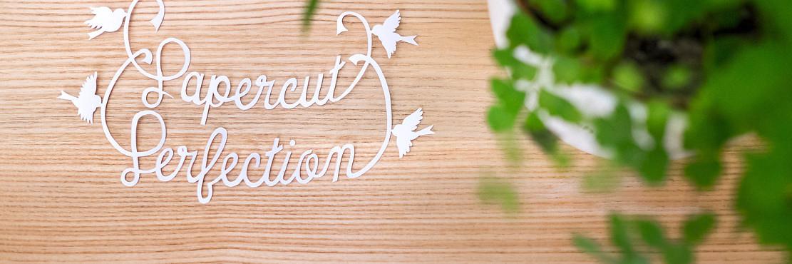 Papercutperfect's profile banner image