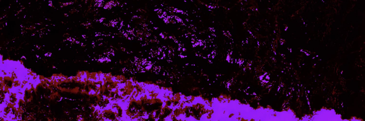 _Harrison_2's profile banner image