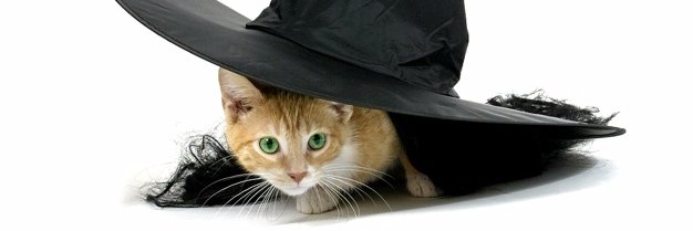 Stitchy Little Witch banner