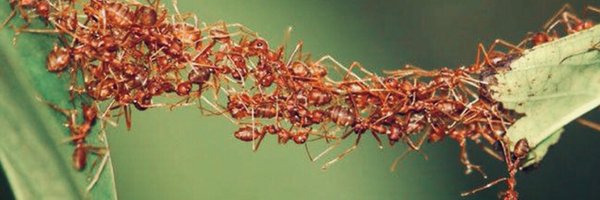 af_mada Profile Banner