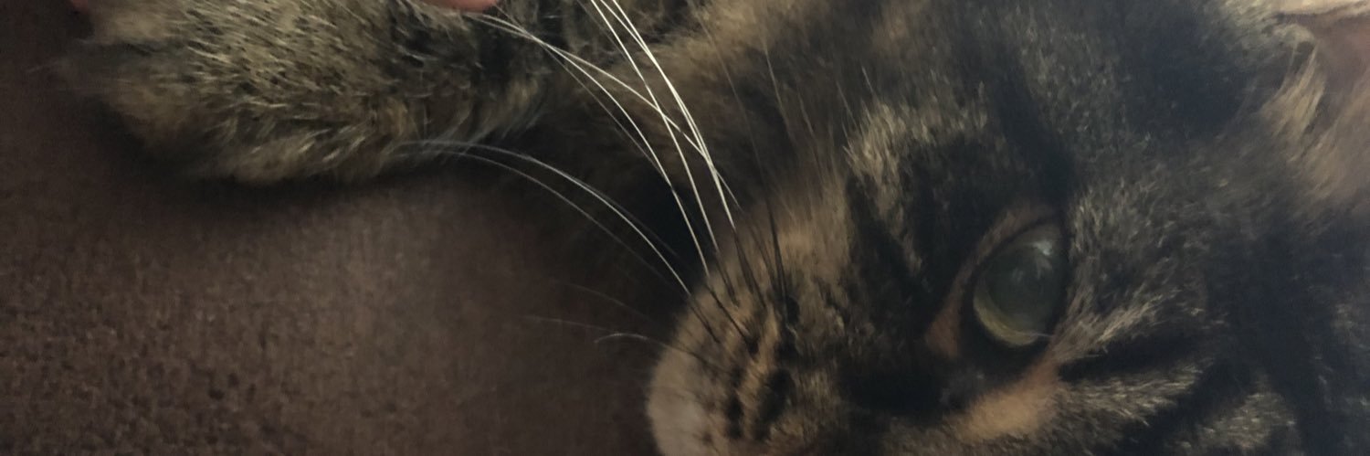 cortmichelles's profile banner image
