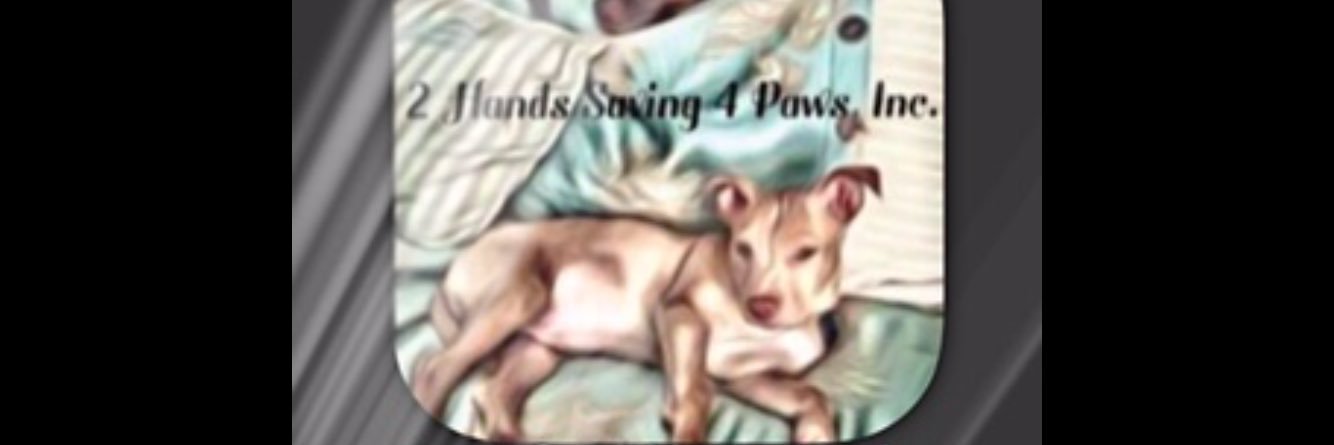 2HandsSave4Paws's profile banner image