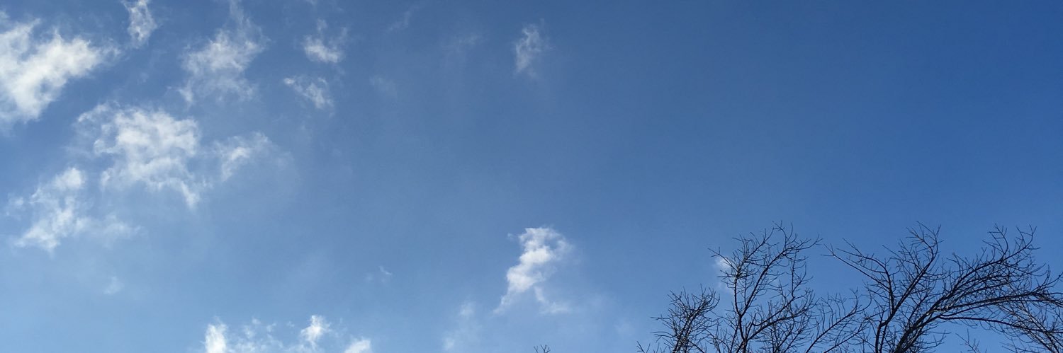 DorthonionRuby's profile banner image