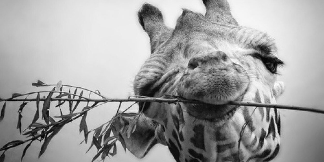 brennabeats's profile banner image