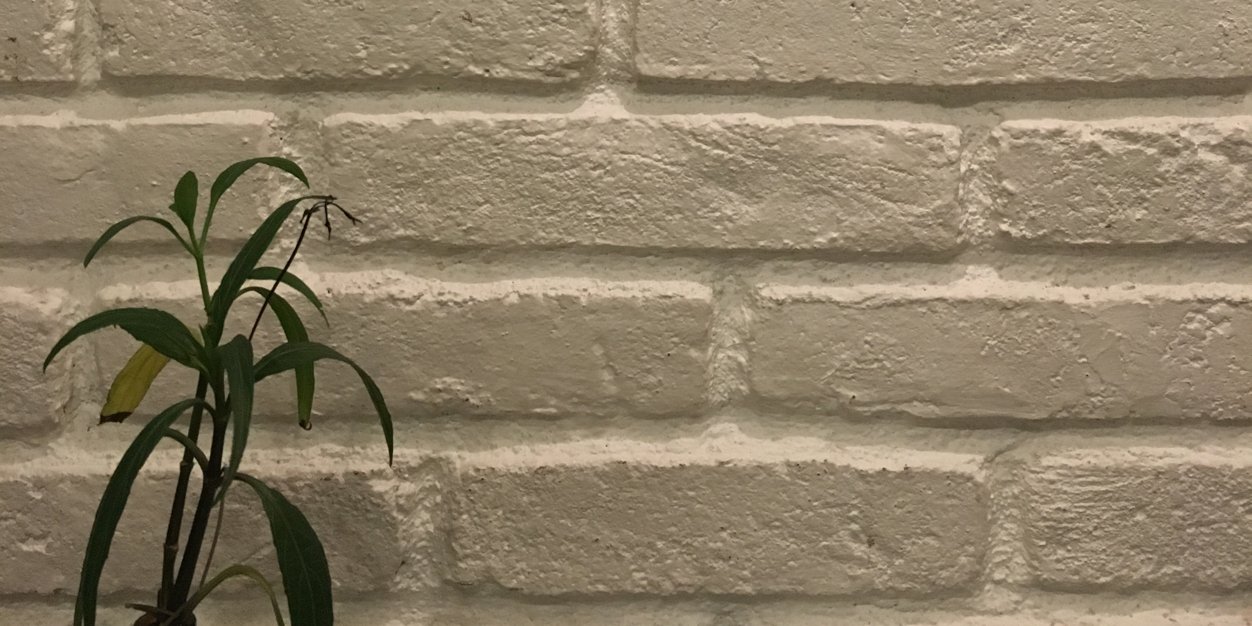dyangintan's profile banner image