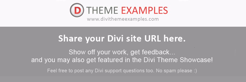 Divi Theme Examples banner