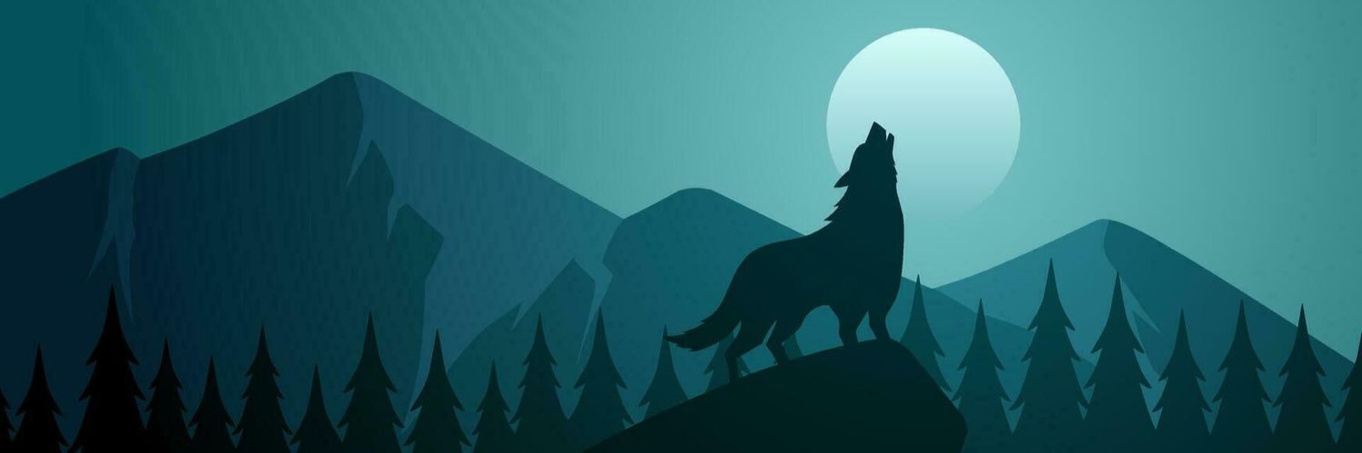 loza_wolf's profile banner image