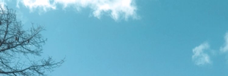 pelucrespo's profile banner image