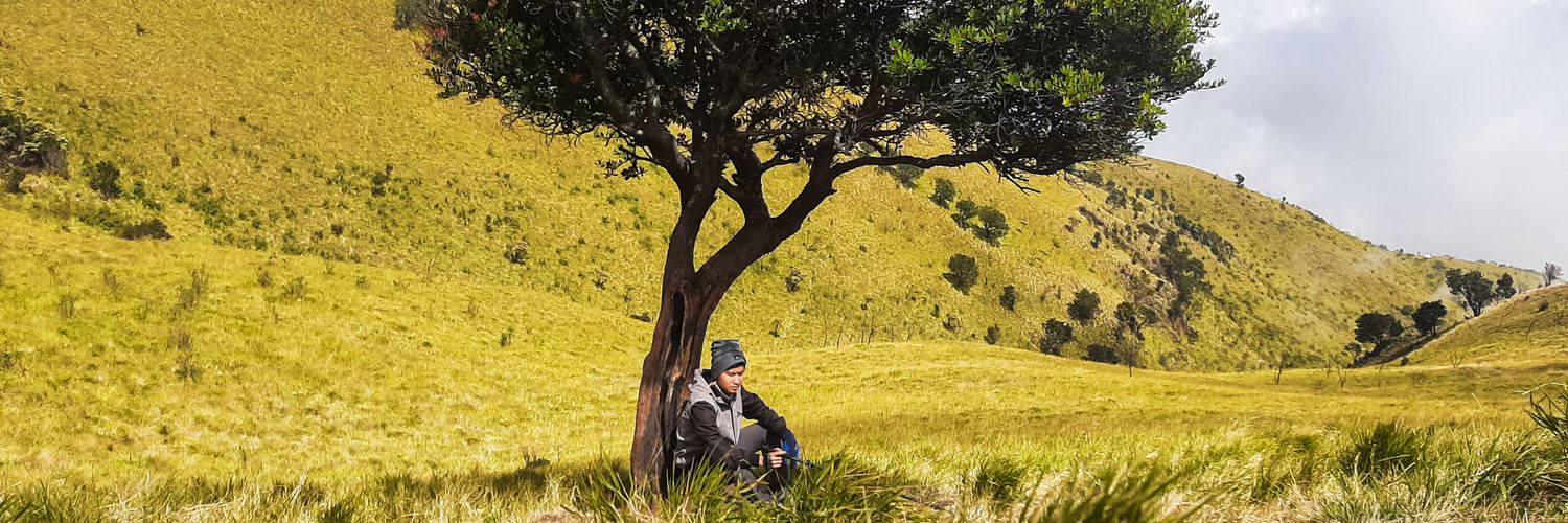 fanfandi's profile banner image