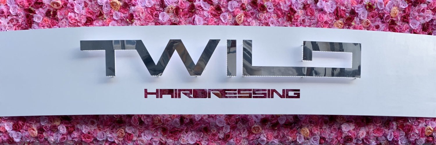 TwiloH's profile banner image