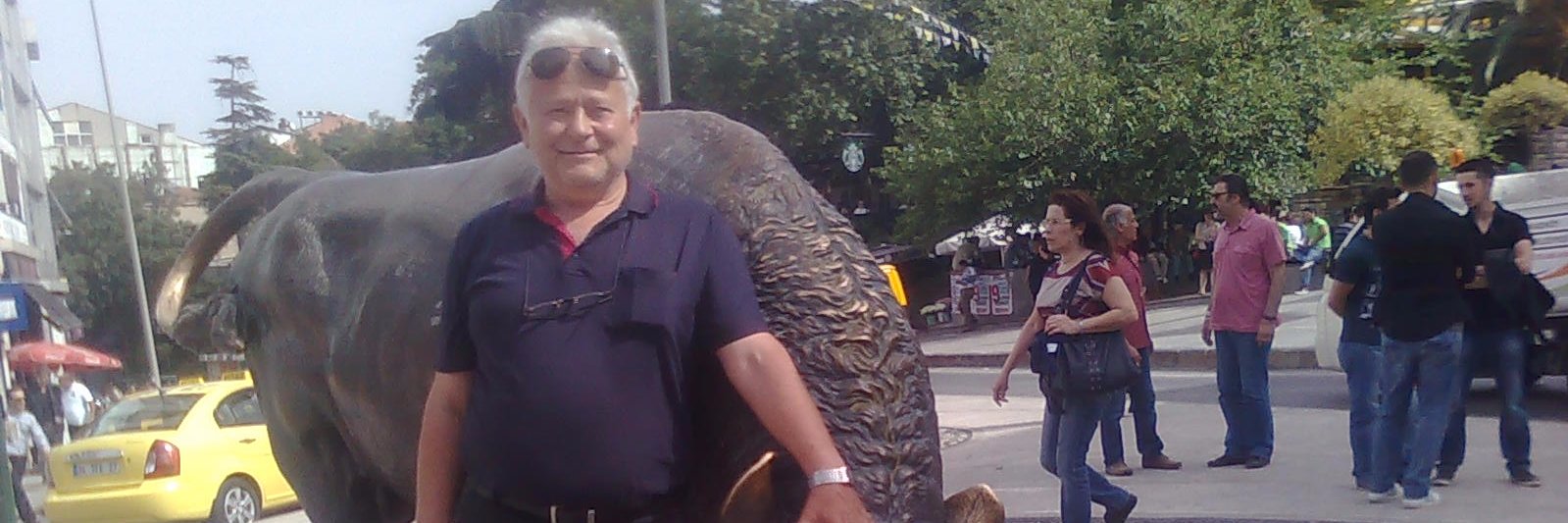 ararbulak's profile banner image