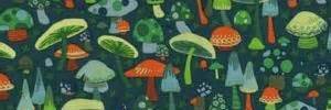 kimsplace's profile banner image