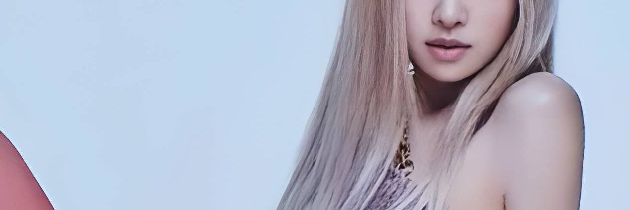 Rosé Saint Laurent 🌹 banner