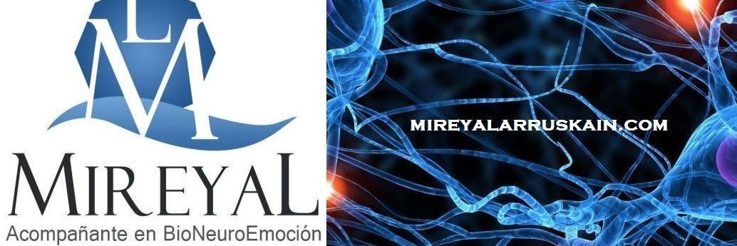 Mireya Larruskain banner