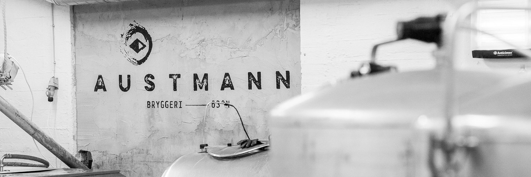 Austmann banner
