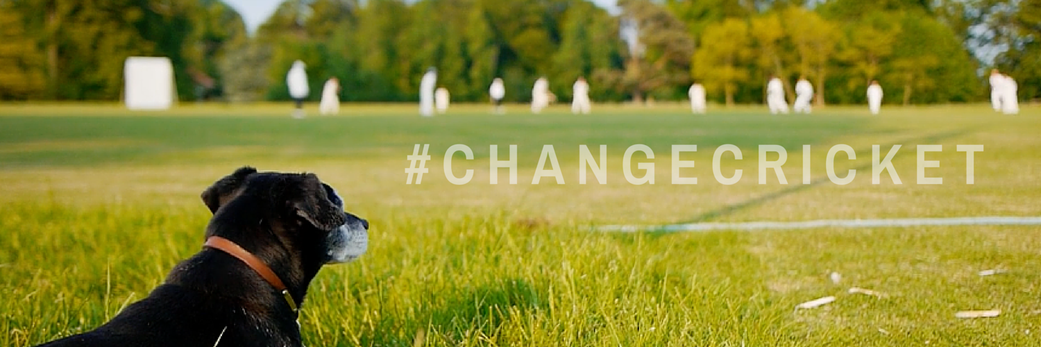 ChangeCricket's profile banner image