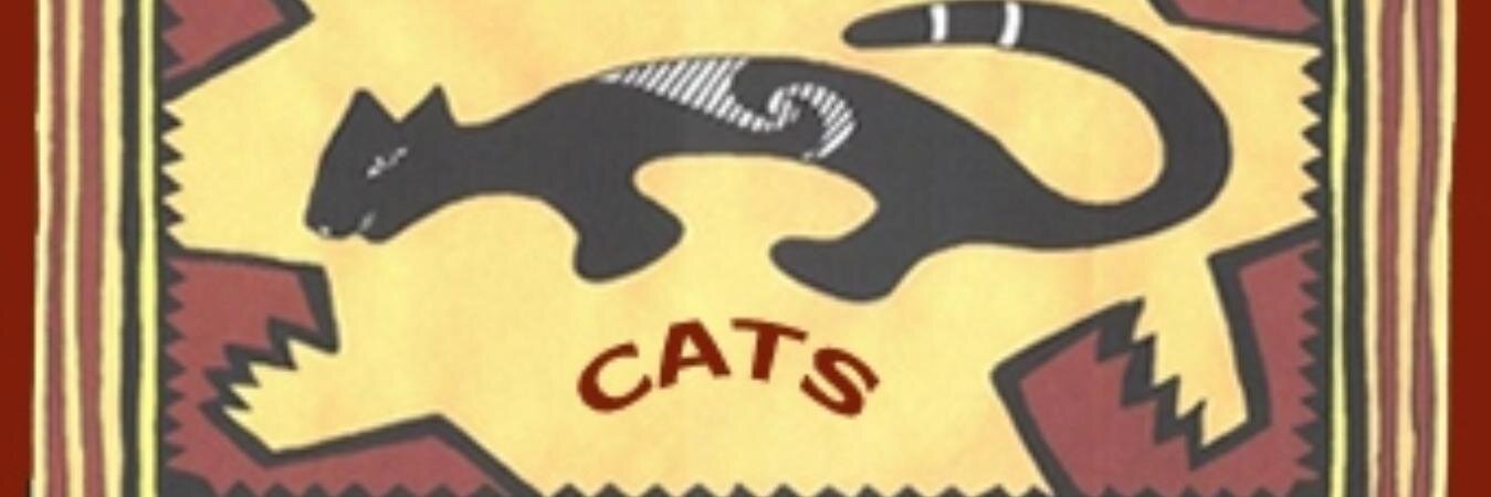 CATSTV's profile banner image