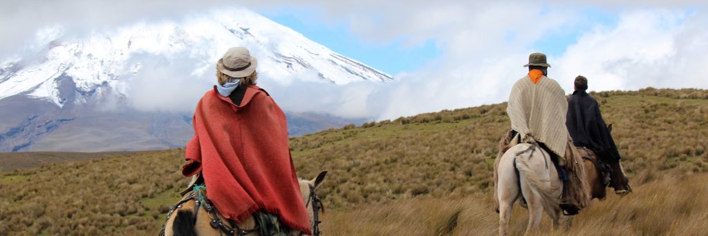 Stephanie Ledger banner