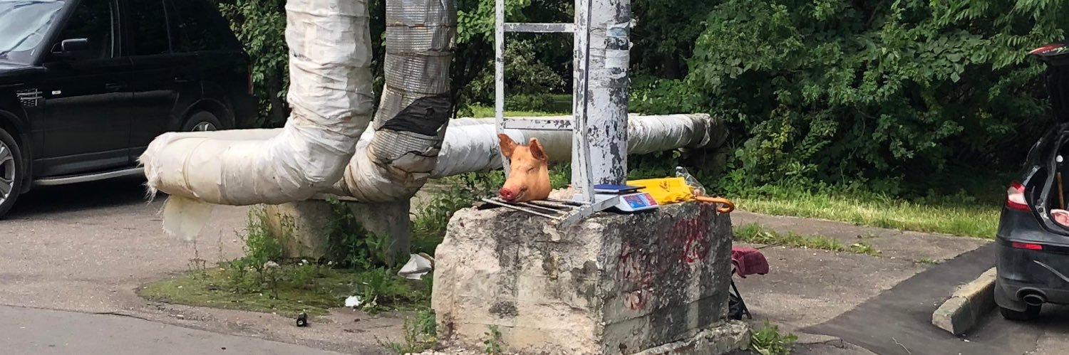 perduemonocle's profile banner image