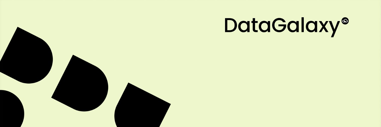 DataGalaxy banner