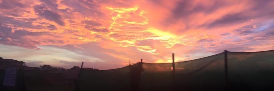 Shirel Berchowitz banner