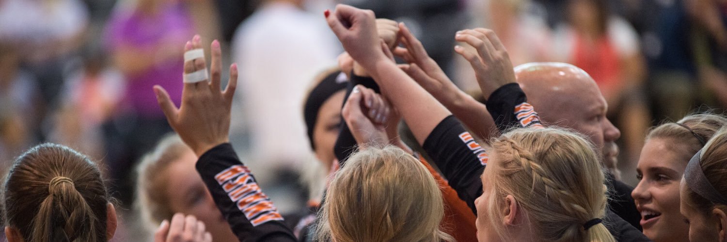 brooke_pehrson's profile banner image