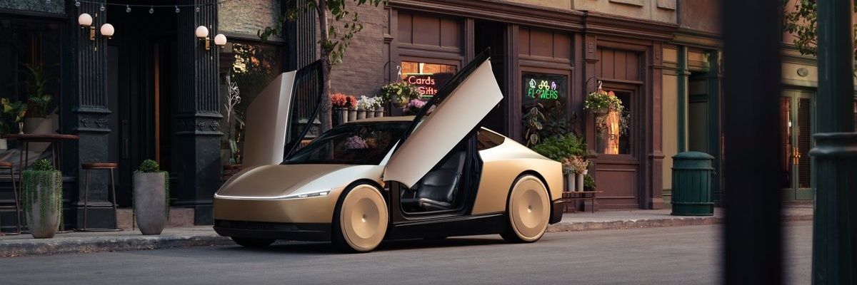 tesla_robotaxi's profile banner image