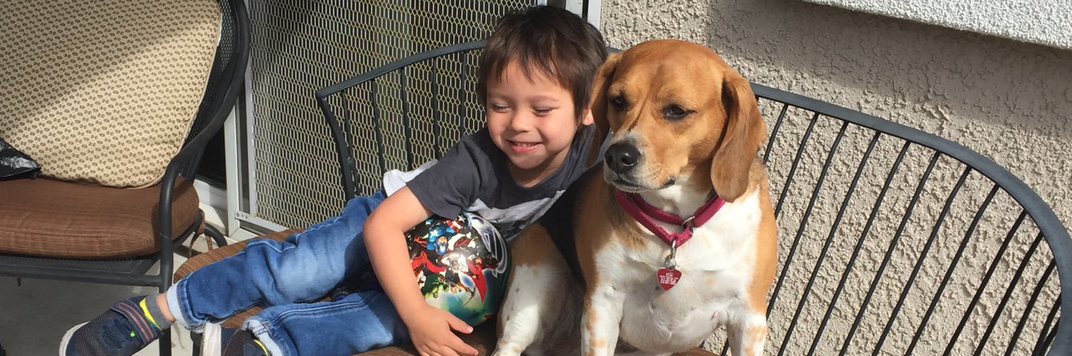 beaglekonalucy's profile banner image