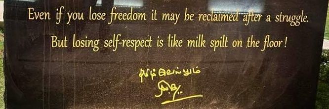 razan_twitz's profile banner image