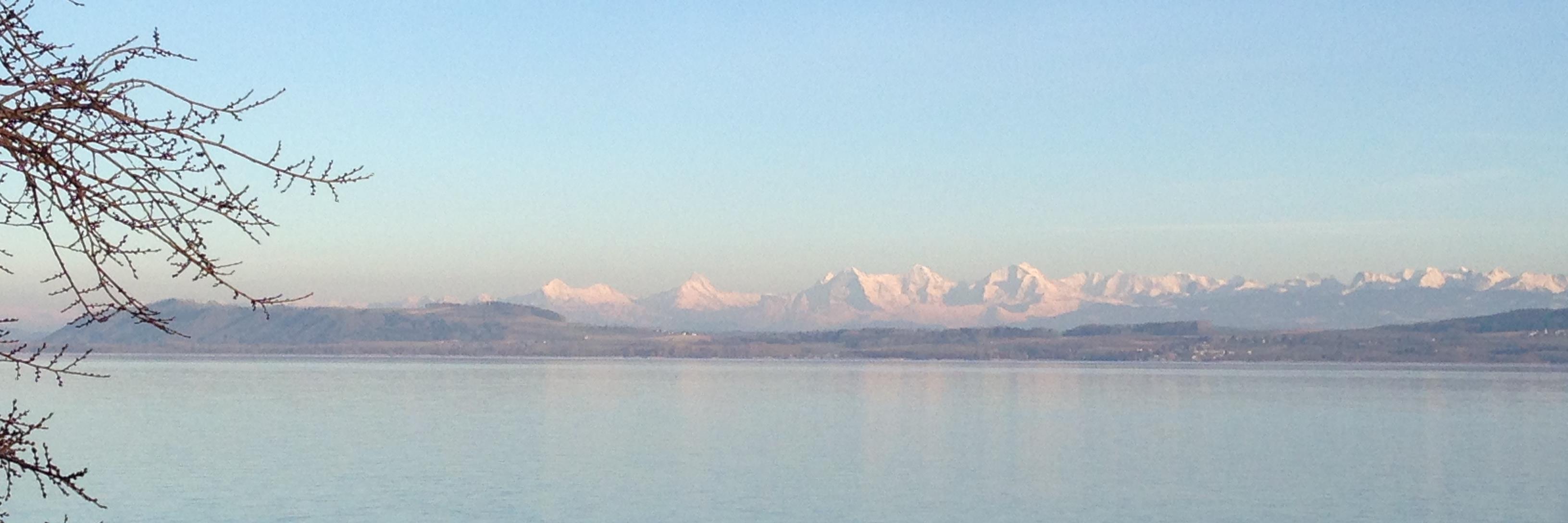 Manuel Peitsch banner