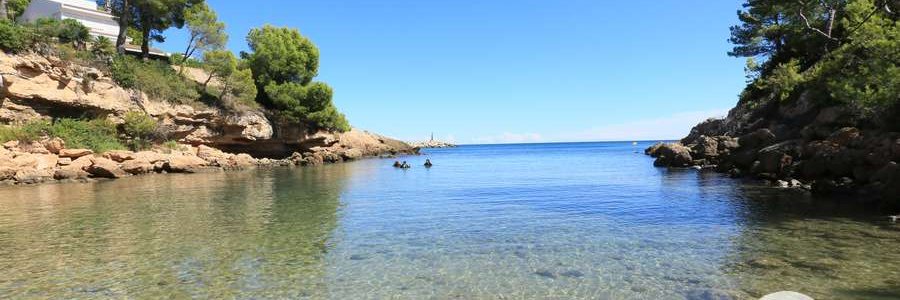 Anna Domènech banner