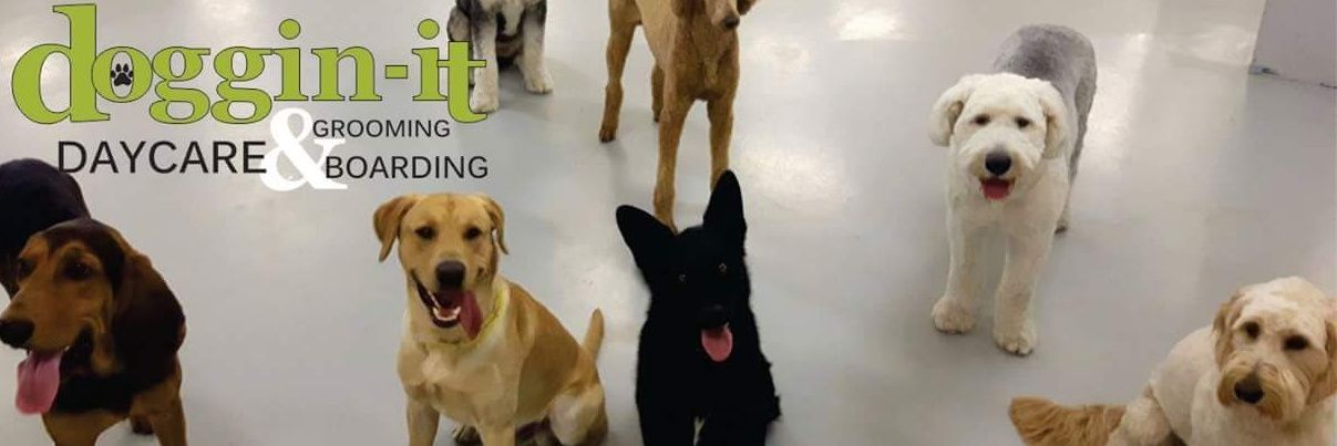 DogginitDaycare's profile banner image