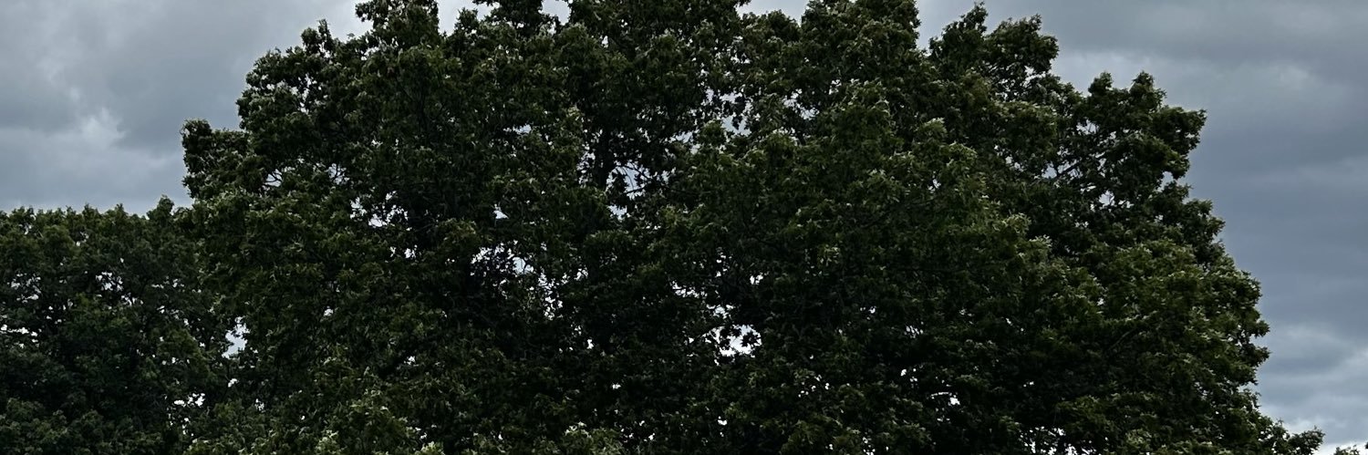 NathanPBruce's profile banner image