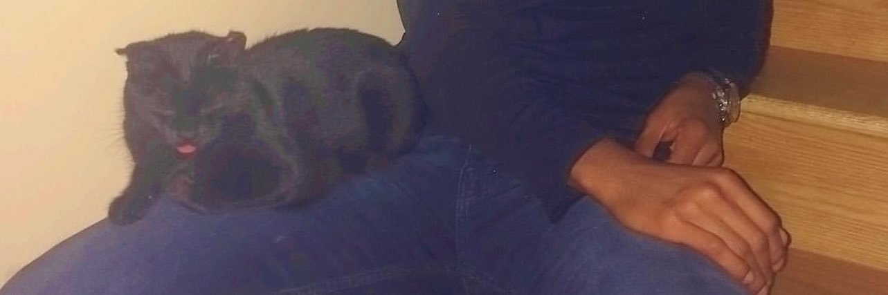 chadwickthegr8's profile banner image