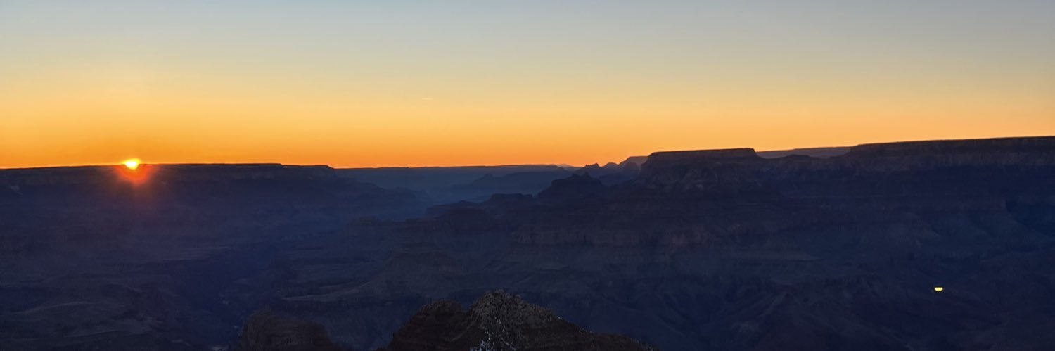 Maya Ricketts banner