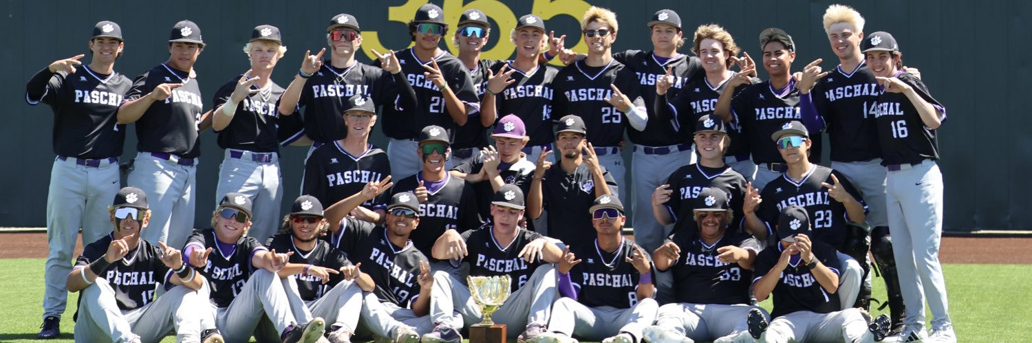 Paschal Panthers Baseball banner