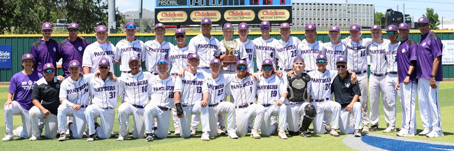 Paschal Panthers Baseball banner