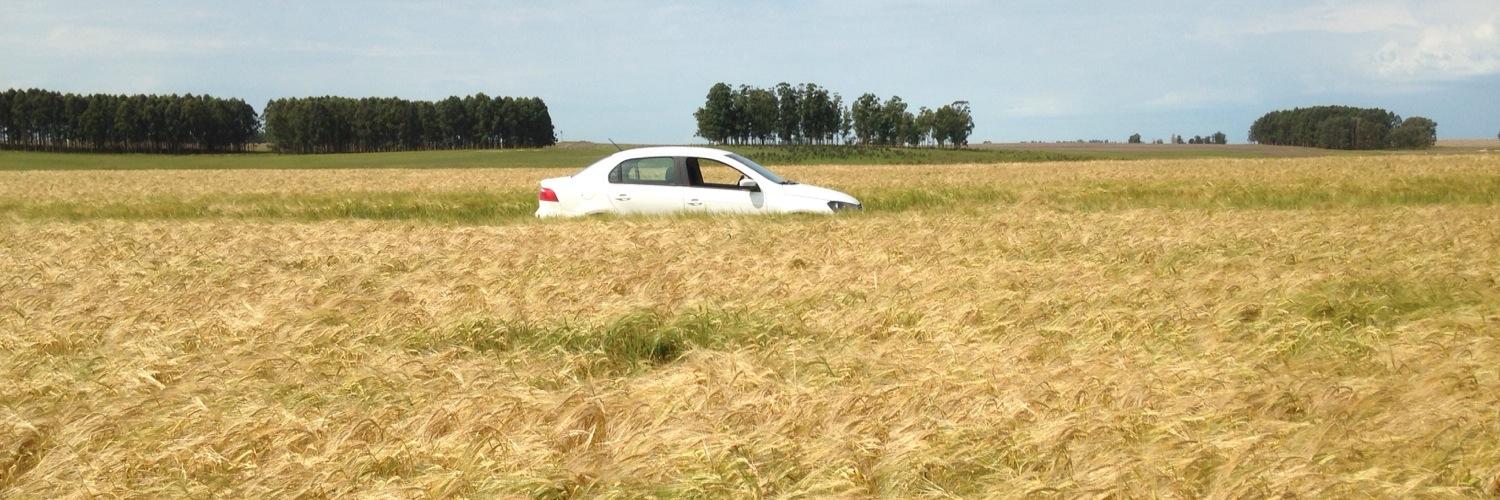 Maltería Oriental SA banner