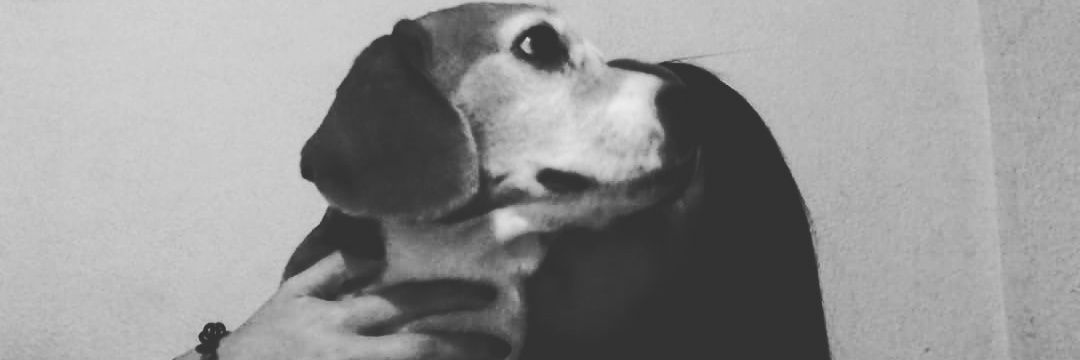 eleeeeeea's profile banner image