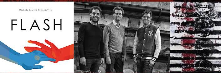 MMOrganicTrio's profile banner image