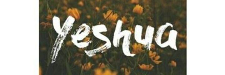 dayaneehenzo53's profile banner image