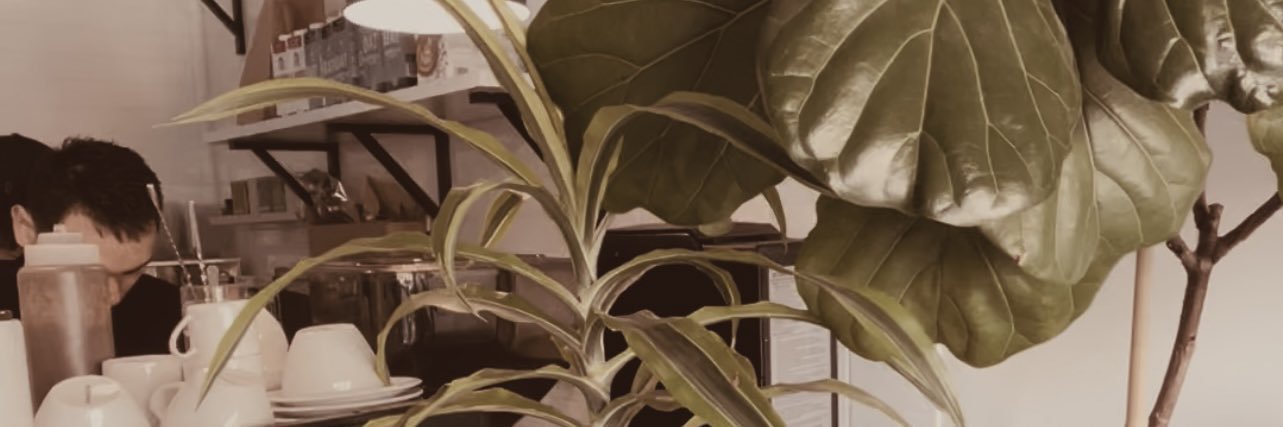 michaelaolevia's profile banner image