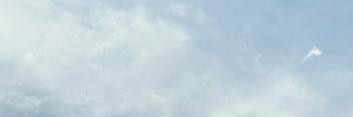 edgudx's profile banner image