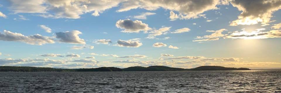 Anna Negrón banner
