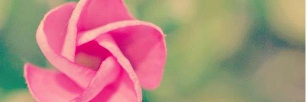 AllisoMartinez's profile banner image