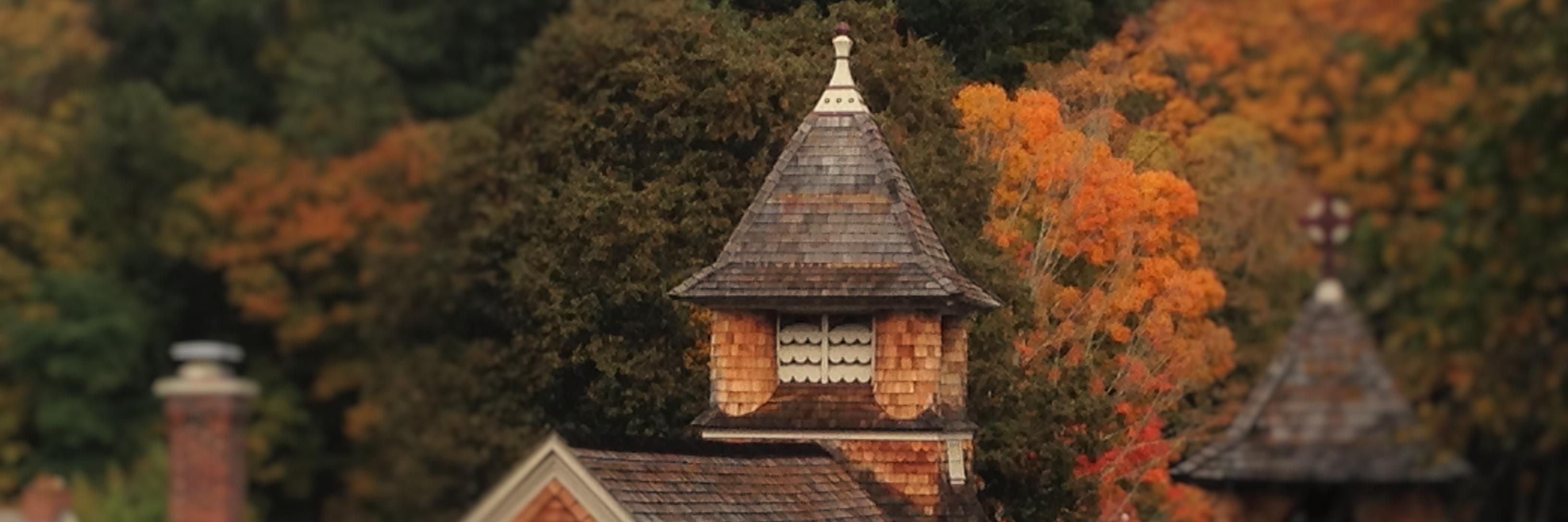 saintsteves's profile banner image