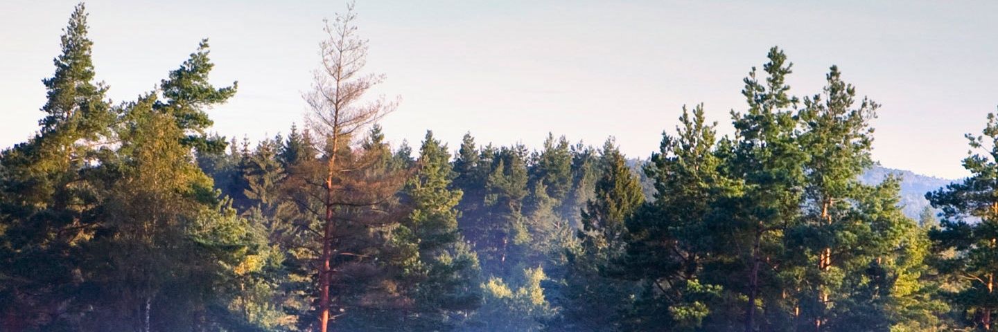 Fermin_97a's profile banner image